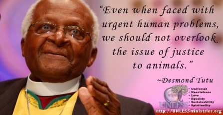 "Even when faced with urgent human problems, we should not overlook the issue of justice to animals."